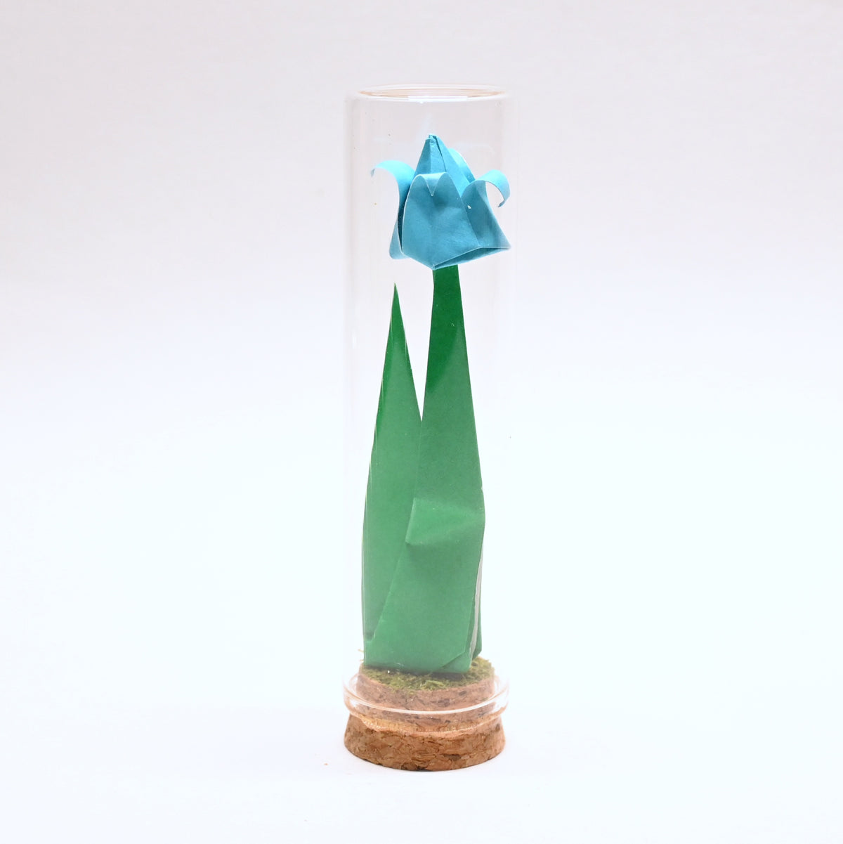 Tulipanes