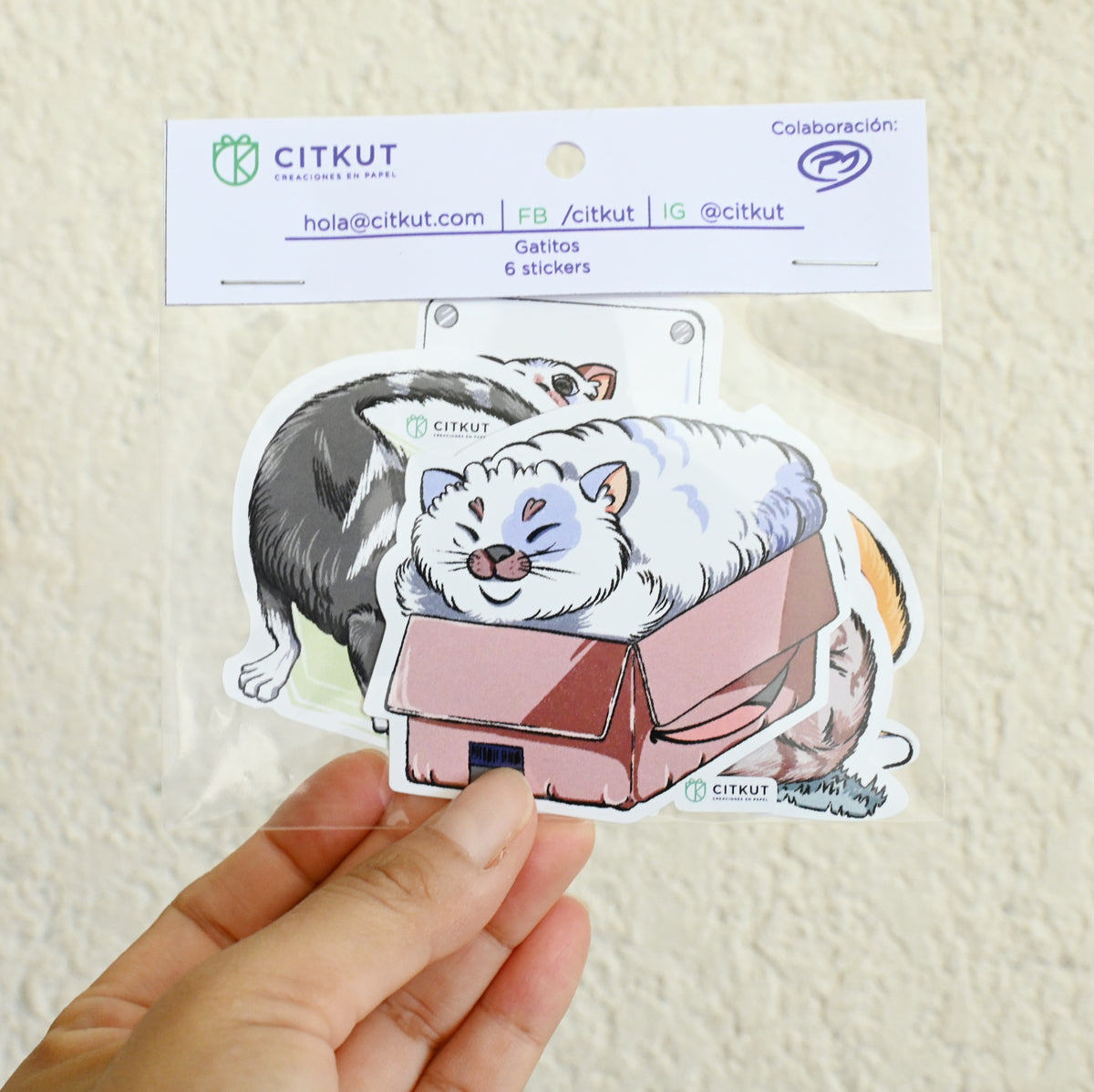 Paquete de 6 stickers de gatitos