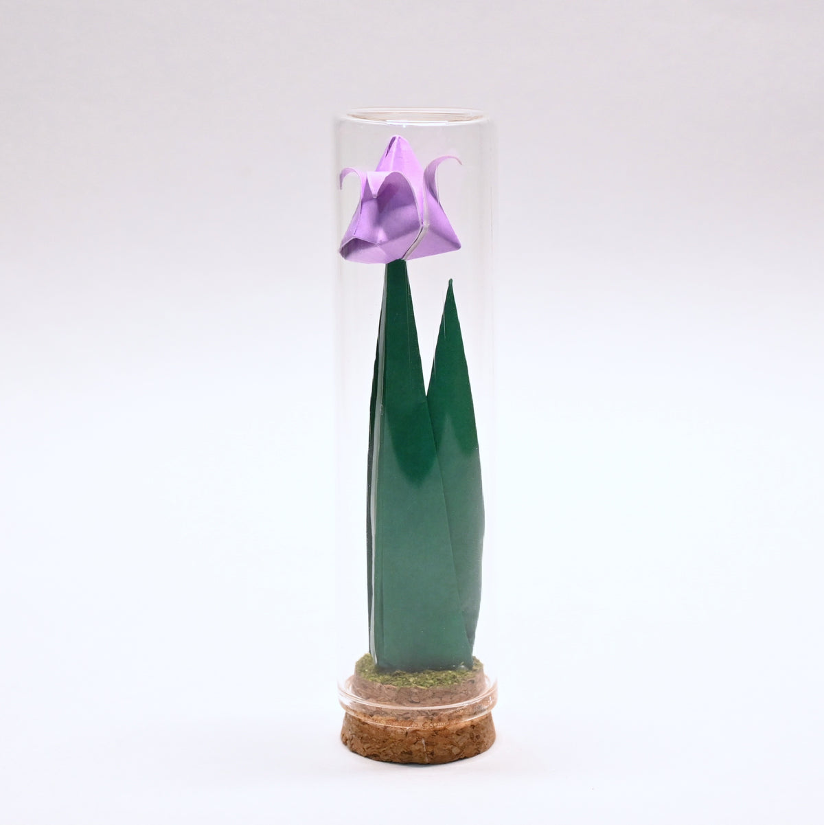 Tulipanes
