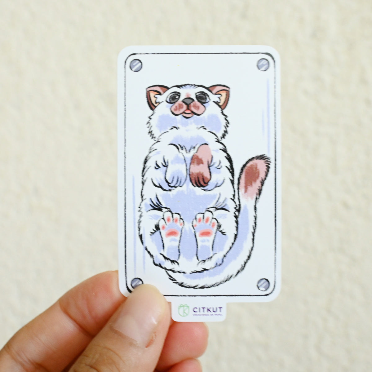 Paquete de 6 stickers de gatitos