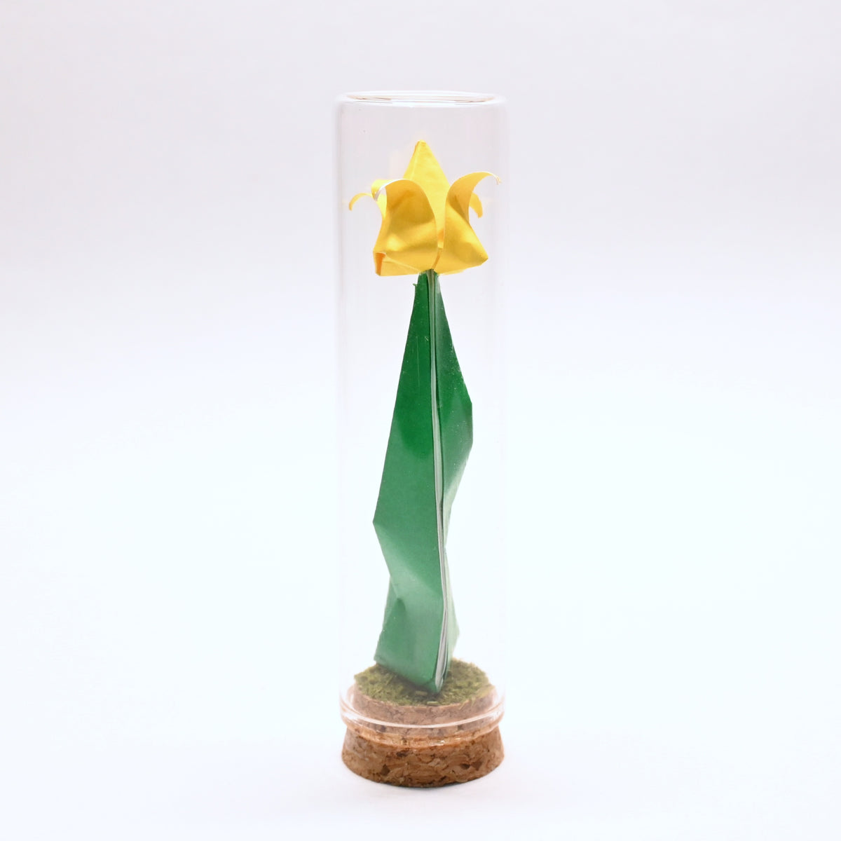 Tulipanes