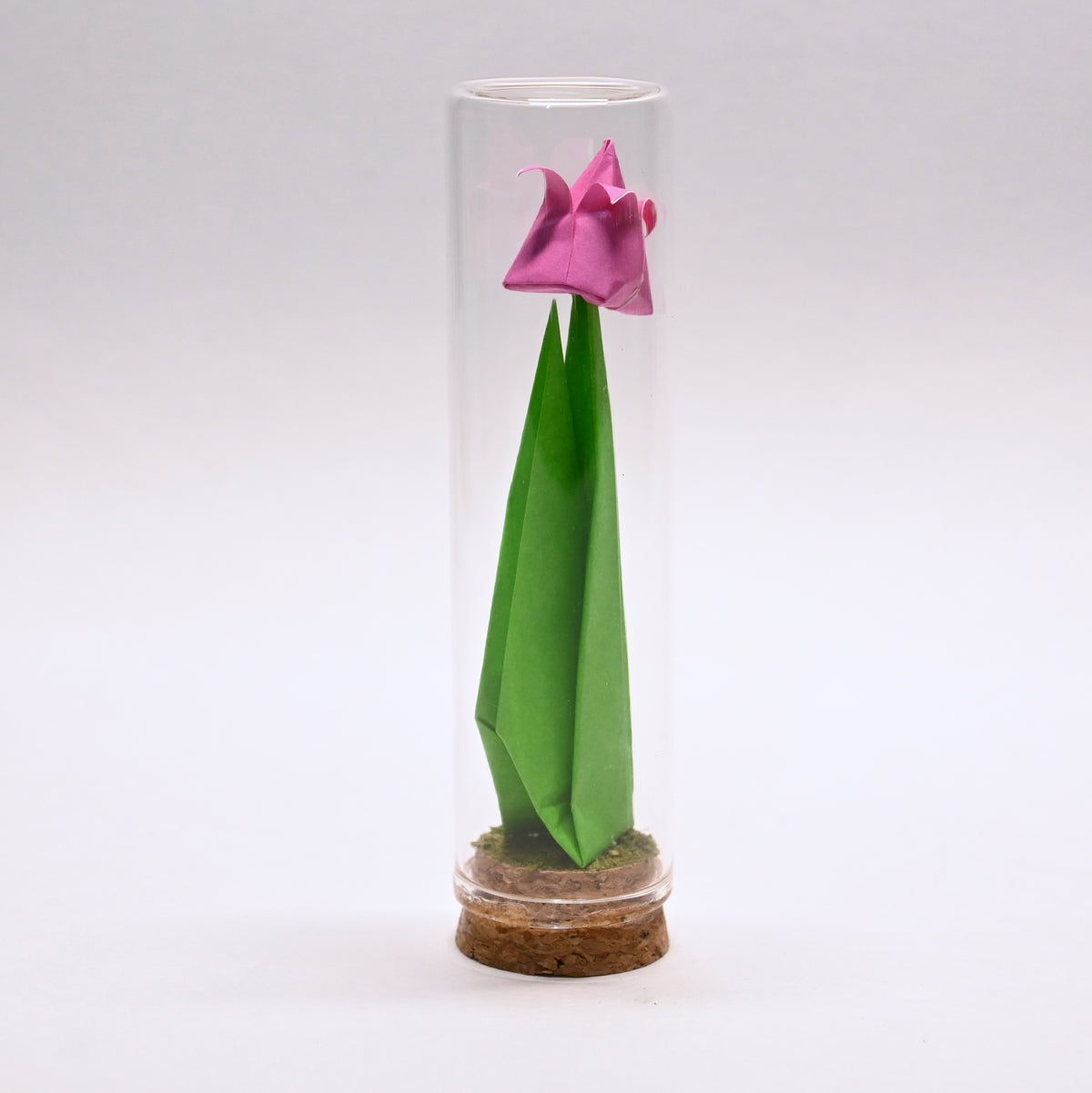 Tulipanes