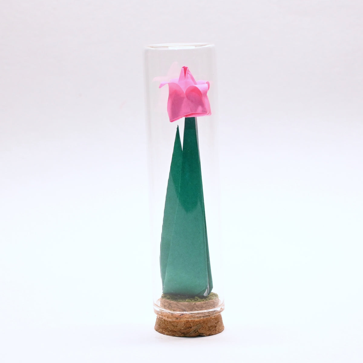 Tulipanes