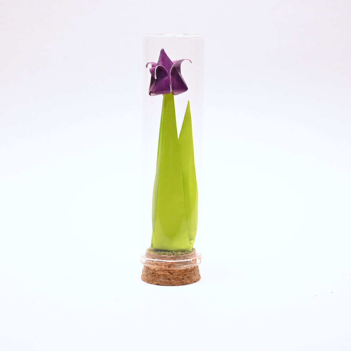Tulipanes