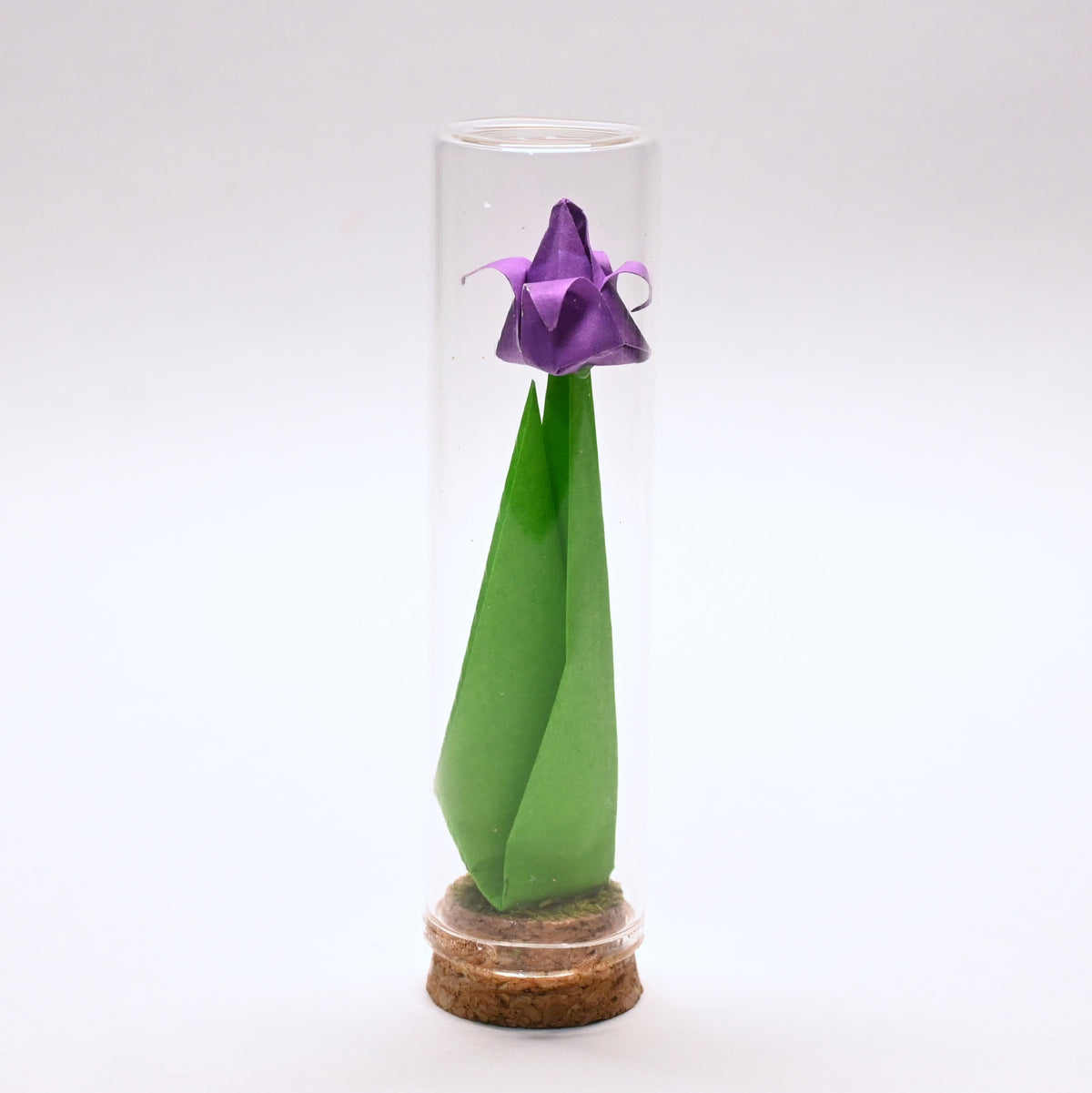 Tulipanes