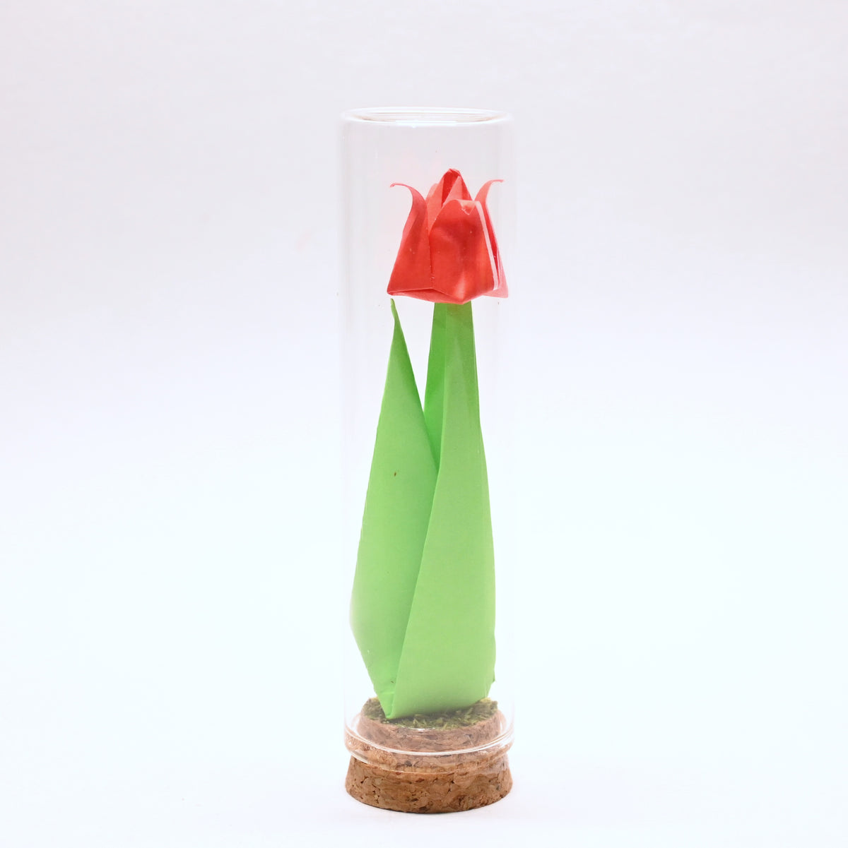 Tulipanes